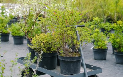 NOGOSA: TU SOLUCIÓN EN CONSTRUCCIÓN