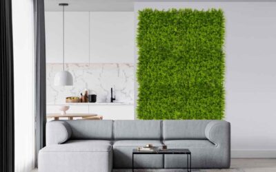 COMIENZA A PREPARAR TU JARDÍN PARA ESTA PRIMAVERA/VERANO